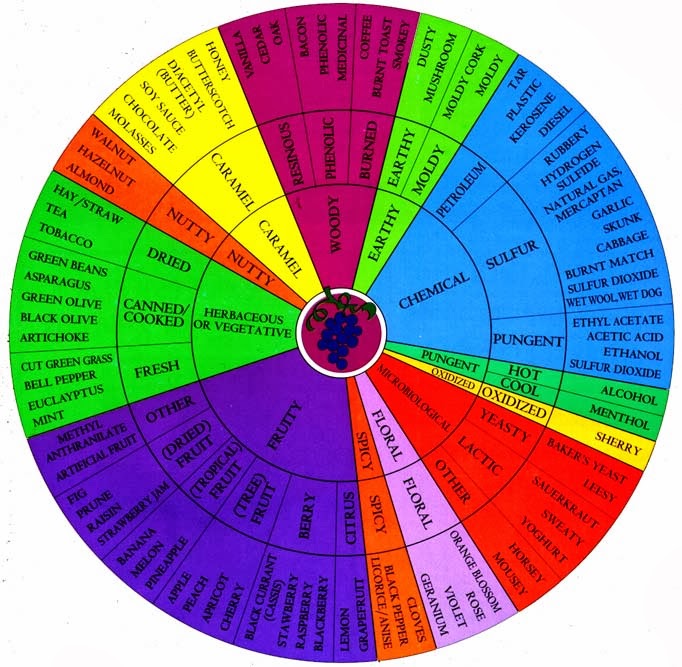 wine tasting flavour wheel
